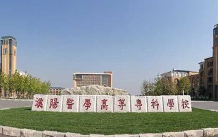 2024濮阳医学高等专科学校录取分数线，重庆录取最低分370