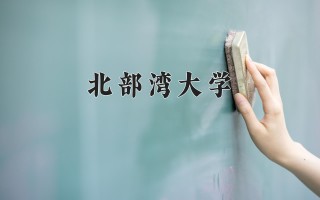 2024年北部湾大学录取分数线，河北最低480分