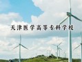 天津医学高等专科学校2024在青海录取分数线是多少？最低313分/最高416分