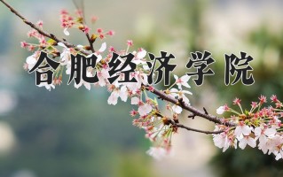 2024年合肥经济学院招生章程，附办学层次和录取规则