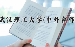 2024武汉理工大学(中外合作)录取分数线，重庆录取最低分592