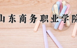 2025年山东商务职业学院在四川计划招生人数（附学费及专业录取分)