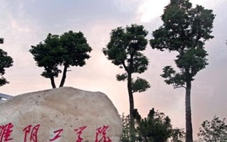 数据计算及应用专业学费多少？附江苏2024年招收的大学