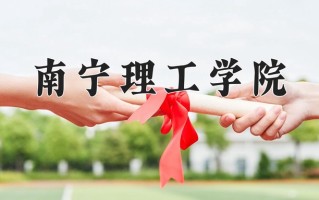 2024南宁理工学院录取分数线：浙江最低470分