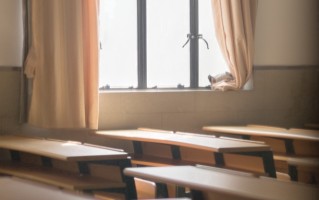 山东537分高考生看过来！2025年值得报考的好大学推荐