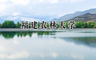 2024福建农林大学录取分数线：天津最低510分