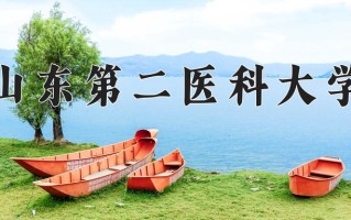 山东第二医科大学王牌专业排名-含2024年全国各省录取最低分数线