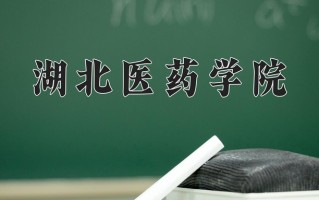 湖北医药学院怎么样？全国排名第几位