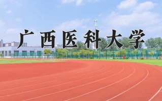 精神医学专业大学排名！附2025全国最新院校排行榜名单