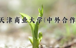 2025年天津商业大学(中外合作)在四川计划招生人数（附学费及专业录取分)