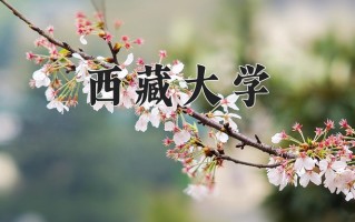 中国少数民族语言文学专业大学排名！附2025全国最新院校排行榜名单