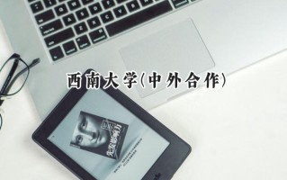 2024西南大学(中外合作)录取分数线：陕西最低546分