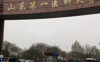 山东第一医科大学全国排名及2024年最低录取分数线