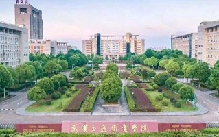 2024年武汉交通职业学院录取分数线，河北最低400分