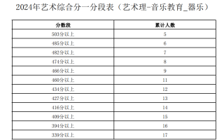 宁夏2024年艺术综合分一分一段表出炉（艺术理-音乐教育-器乐）