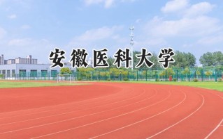 2024安徽医科大学录取分数线：河南最低568分