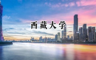 2024西藏大学录取分数线：天津最低573分