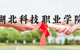 2025年湖北科技职业学院在四川计划招生人数（附学费及专业录取分)