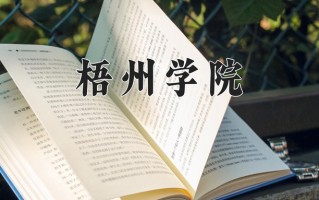 梧州学院怎么样？全国排名第几位