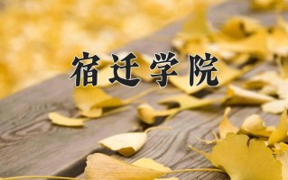 宿迁学院最厉害的专业-2024宿迁学院最好专业