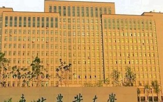 乳品工程专业大学排名！附2025全国最新院校排行榜名单