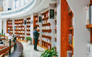 2025年上海中侨职业技术大学在广东计划招生人数（附学费及专业录取分）