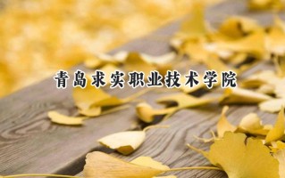 2024青岛求实职业技术学院录取分数线：宁夏最低269分