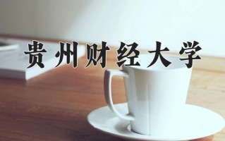 贵州财经大学怎么样？全国排名第几位