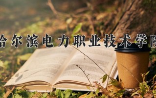 辽宁考生多少分能上哈尔滨电力职业技术学院？2025最低409分
