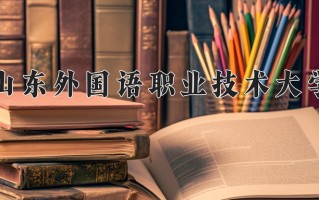 2025年山东外国语职业技术大学在新疆计划招生人数（附学费及专业录取分)