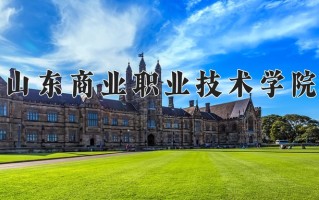 2025年山东商业职业技术学院在四川计划招生人数（附学费及专业录取分)