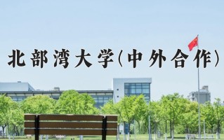 2025年北部湾大学(中外合作)在四川计划招生人数（附学费及专业录取分)