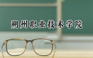 朔州职业技术学院2024在青海录取分数线是多少？最低272分/最高315分