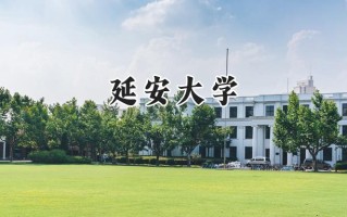 2024延安大学录取分数线：河南最低510分