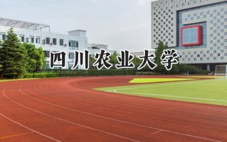 2024四川农业大学录取分数线：江苏最低588分