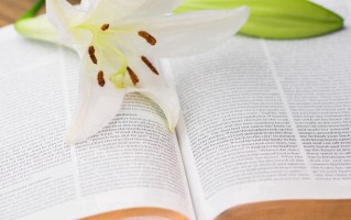 应用物理学专业就业形势揭秘！附2025年前景与方向全解析