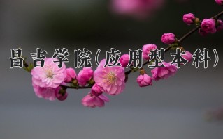 2024年昌吉学院(应用型本科)录取分数线，新疆最低296分
