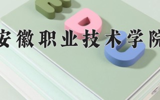 2024安徽职业技术学院录取分数线：浙江最低454分