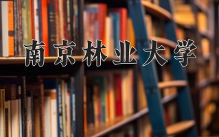 森林工程专业学费多少？附江苏2024年招收的大学