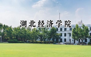 2024湖北经济学院录取分数线：天津最低537分