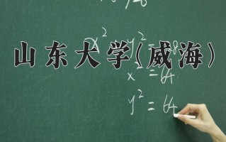 2024年山东大学(威海)录取分数线，宁夏最低517分