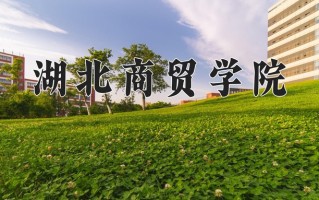 2024湖北商贸学院录取分数线：浙江最低474分