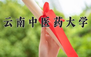 云南中医药大学全国排名(含云南中医药大学最强专业解析)