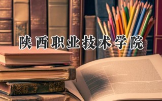 陕西职业技术学院2024在青海录取分数线是多少？最低267分/最高294分