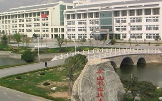 2024泰山职业技术学院录取分数线，重庆录取最低分324