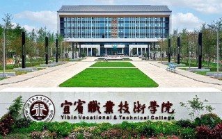 2024宜宾职业技术学院录取分数线，重庆录取最低分262