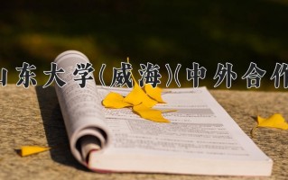 2025年山东大学(威海)(中外合作)在四川计划招生人数（附学费及专业录取分)