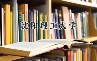 2024沈阳理工大学录取分数线：山西最低486分