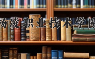 2025年杨凌职业技术学院在新疆计划招生人数（附学费及专业录取分)