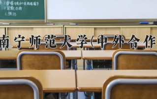 2025年南宁师范大学(中外合作)在四川计划招生人数（附学费及专业录取分)
